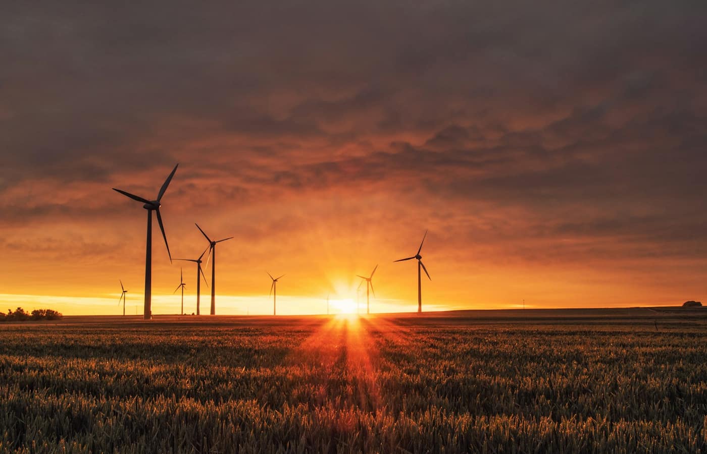Wind turbines in a field at sunset